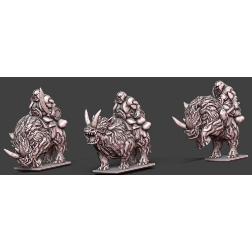 Ogre Rhino Riders (10mm)